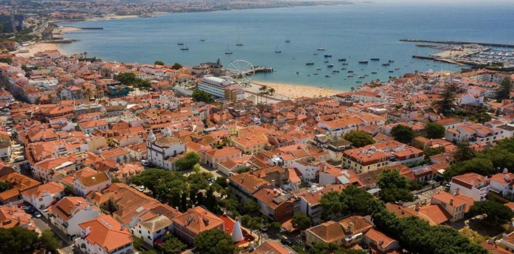 Pine Apartment - A 3M Da Ciclovia Guincho كاسكايس المظهر الخارجي الصورة